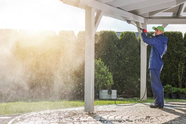 Animal Enclosure Cleaning in Lake Providence, LA